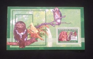 D)2006, REPUBLIC OF GUINEA, MIONI SHEET, ISSUE, ORNITHOLOGISTS AND BIRDS,