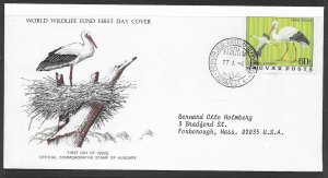 Sc 2458 Hungary White Stork L141