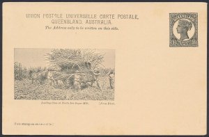 QUEENSLAND Postcard 1898 QV 1½d black view Loading Cane at North Isis Sugar Mill