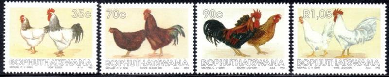 Bophuthatswana - 1993 Chicken Breeds Set MNH** SG 285-288