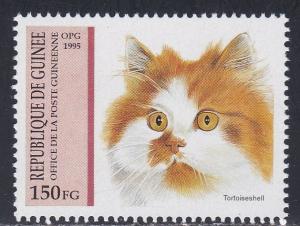 Guinea # 1292, Domestic Cat, NH