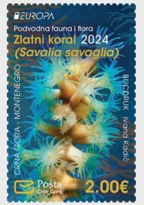 Montenegro 2024 Europa CEPT Underwater Fauna & Flora Gold Coral stamp MNH