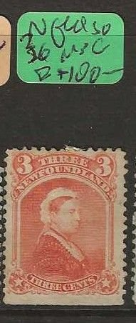 NEWFOUNDLAND  SG36   QV  3C   MNG           P0518H