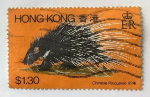 Hong Kong 1982  Scott 386 used - $1.30,  Wild Animals, Porcupine