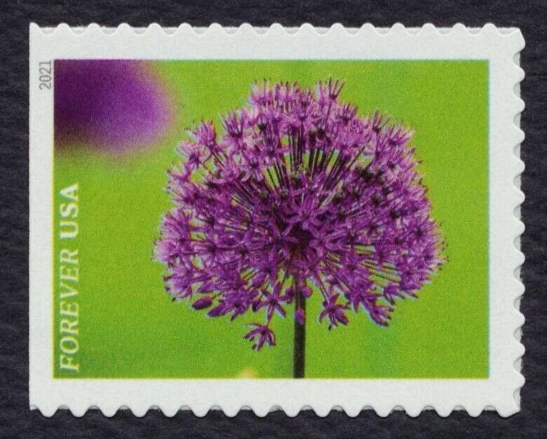 #5558-5567 Garden Beauty, Singles, Mint **ANY 5=FREE SHIPPING**