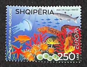 Albania 2024, Europa, marine life 1v, MNH