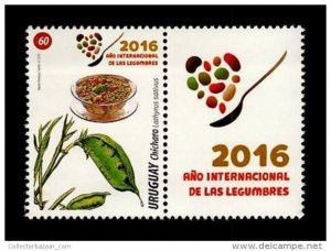 2016 URUGUAY food international year of vegetables spoon lathyrus sativus