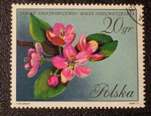 Poland Scott #1861 used