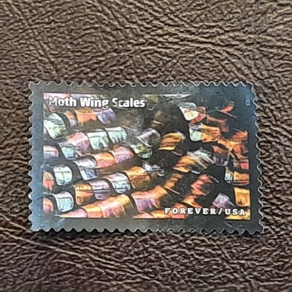 US Scott 5802l; used (66c) Life magnified from 2023; XF centering; off paper United States