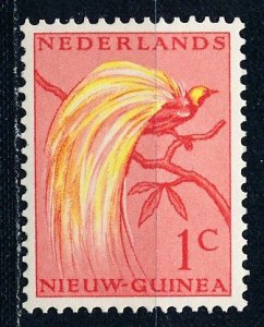 Netherlands New Guinea #22 Single MNH