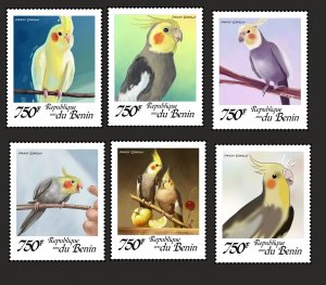 Stamps. Animals, Birds, Parrots Benin 2022 year, 6 stamps  perforated