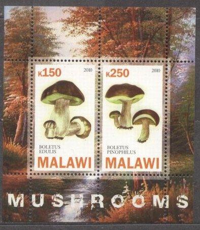 Malawi 2010 Mushrooms, perf. sheet, MNH   S.118