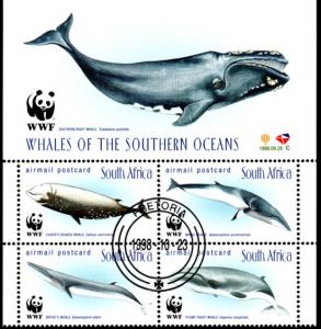 South Africa - 1998 WWF Whales Control Block Used SG 1101a