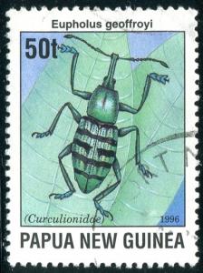 Papua New Guinea Sc#890 Used (Pg)