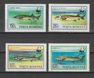 ROMANIA 1994 WWF SG 5560/3 MNH