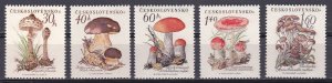 Czechoslovakia, Mushrooms MNH / 1958