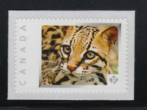 OCELOT = DWARF LEOPARD =wild cat= picture postage stamp MNH Canada 2013 [p3w7/7]
