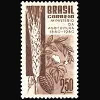 BRAZIL 1960 - Scott# 909 Agriculture Set of 1 NH