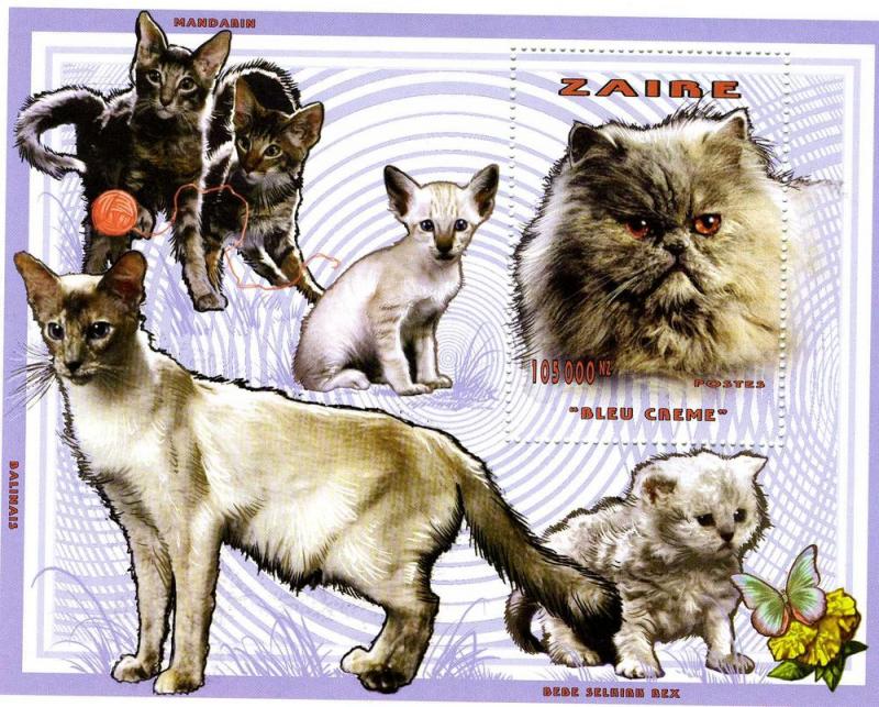 Zaire Domestic Cats s/s Perforated mnh.vf
