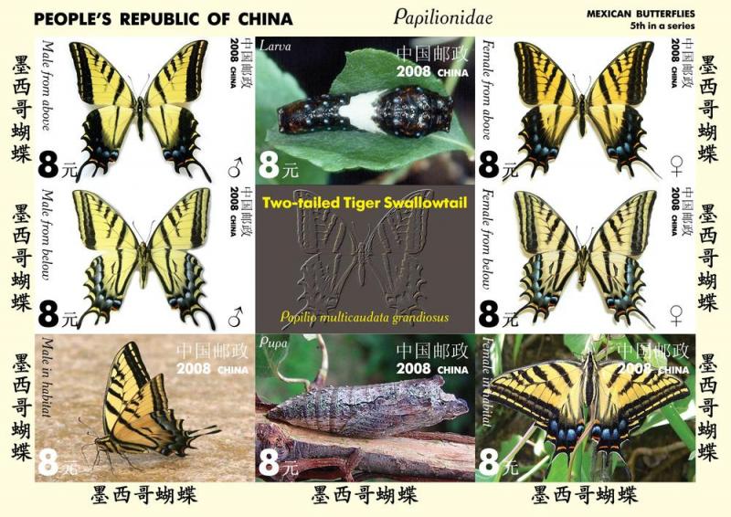 CHINA SHEET IMPERF CINDERELLA BUTTERFLIES INSECTS