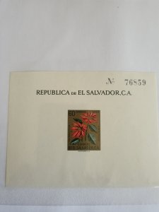 Stamps El Salvador C192 never hinged