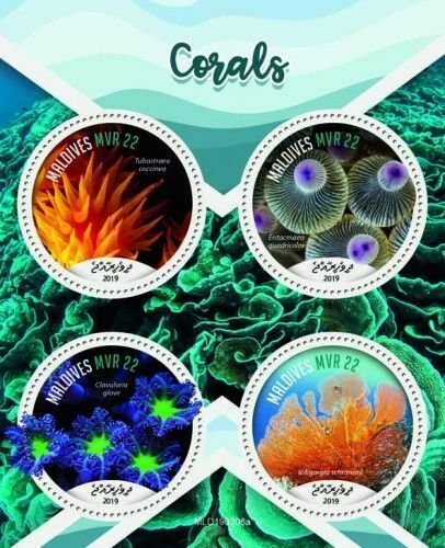 Z08 MLD190306a MALDIVES 2019 Corals MNH ** Postfrisch