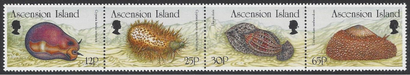 Ascension #628-31 mint strip of 4,, mollusks, issued 1996