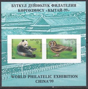 Kyrgyzstan, Fauna, Animals, Birds, imperf. MNH / 1999