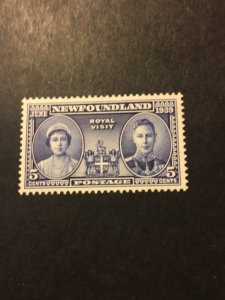 Newfoundland sc 249 MH