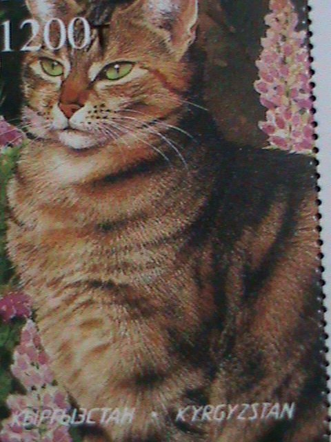 KYRGYZSTAN STAMP-WORLD FAMOUS BEAUTIFUL LOVELY CATS 2012-  MNH SHEET-VERY FINE