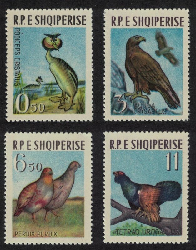 Albania Grebe Eagle Partridge Capercaillie Birds 4v 1963 MNH SG#748-751