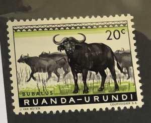 Ruanda-Urundi  1959 Scott 138 MNH - 20c,  Animals,   cape Buffaloes