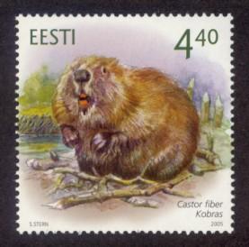 Estonia Sc# 503 MNH Estonian Fauna  Beaver