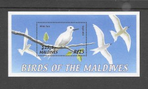 BIRDS - MALDIVES #2631 WHITE TERN S/S MNH