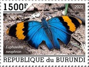 Burundi - 2022 Gold Banded Forester Butterfly - Stamp - BUR2201063a