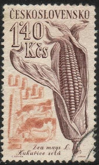 Czechoslovakia#1067 - Corn- Used