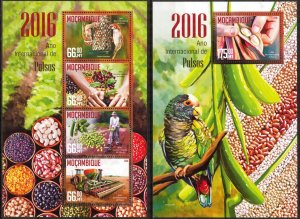 Mozambique 2016 Vegetables Birds International Year of Pulses  Sheet + S/S MNH