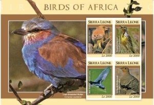 Sierra Leone 2009 - Birds of Africa Stamp - Sheet of 4 MNH