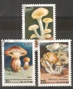 DPR Korea 1985 Mushrooms Plants Food 3v Sc 2469-71 Cancelled ++ 13112a
