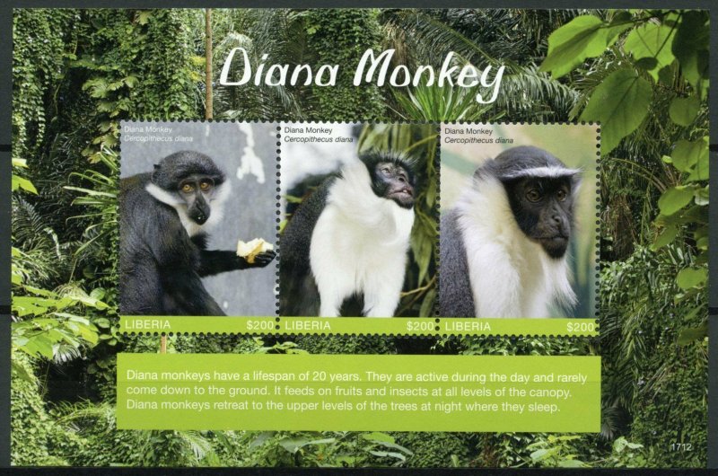 Liberia 2017 MNH Diana Monkey 3v M/S Monkeys Wild Animals Stamps 