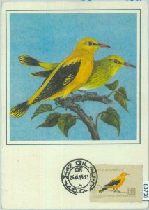 83708 - ROMANIA - Postal History - MAXIMUM CARD -  1985  Birds