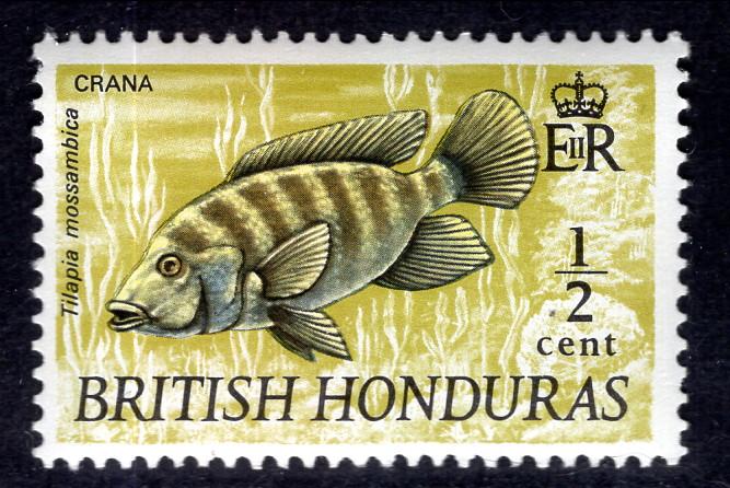 British Honduras 214 Fish MNH VF