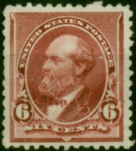 U.S.A 1890 6c Brown-Lilac SG229a Fine MM