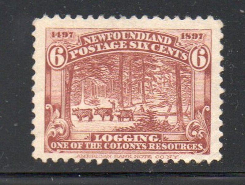 Newfoundland Sc 66 1897 6 c red brown logging stamp mint NH