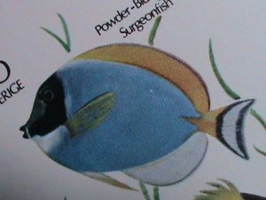 ​STATE OF OMAN STAMP- BEAUTIFUL LOVELY ANGEL FISH IMPERF MNH -S/S SHEET VF