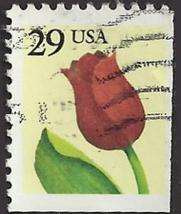 # 2527 USED RED ROSE