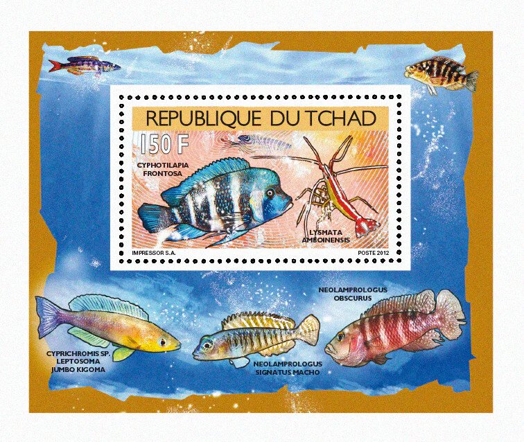 Chad 2012 Imperf. Fish and Shellfish 2012 Full No. 2523 A- 2526 A - BL. 407 - 410-