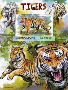 Sierra Leone - 2017 Tigers on Stamps - Souvenir Sheet - SRL17303b