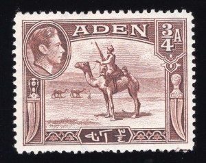 Aden Scott #17 Stamp - Mint Single