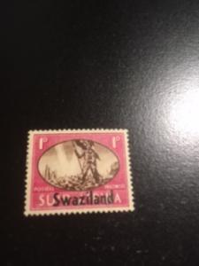 Swaziland sc 38 MH